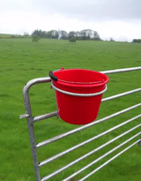 Single Bucket Ring