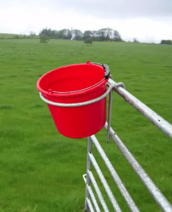 Single Bucket Ring
