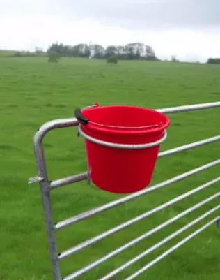 Single Bucket Ring